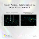 Side-by-side graphs show increased skin cell rejuvenation in the epidermis and dermis with Exo-PDRN Prismatic+ by Medik8 Cyprus compared to control, using yellow dots to represent rejuvenation.